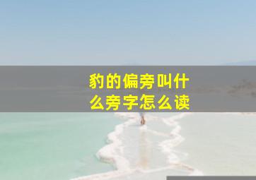 豹的偏旁叫什么旁字怎么读