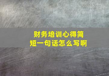 财务培训心得简短一句话怎么写啊