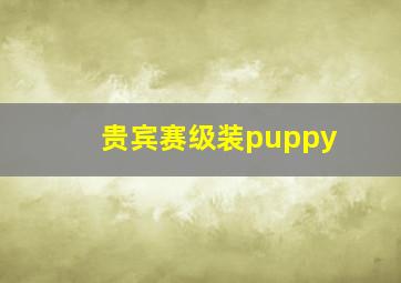 贵宾赛级装puppy