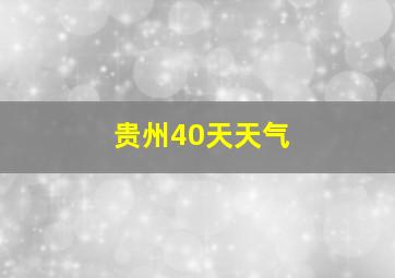 贵州40天天气