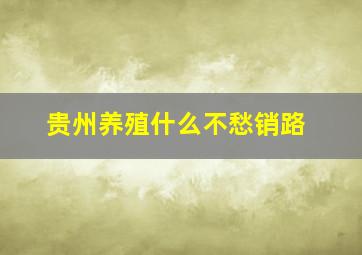 贵州养殖什么不愁销路