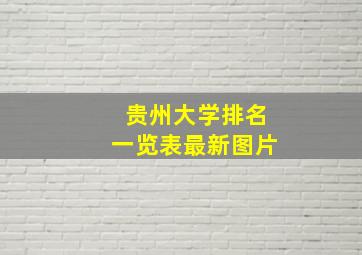 贵州大学排名一览表最新图片