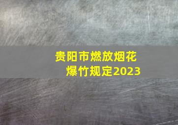 贵阳市燃放烟花爆竹规定2023