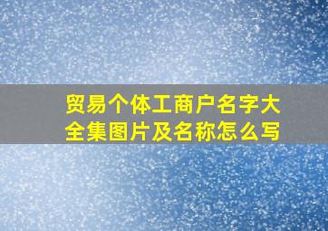 贸易个体工商户名字大全集图片及名称怎么写