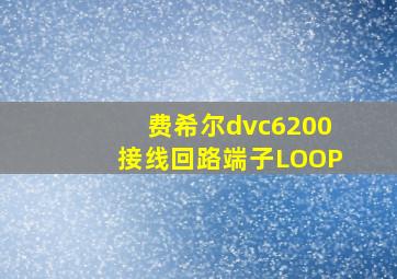 费希尔dvc6200接线回路端子LOOP