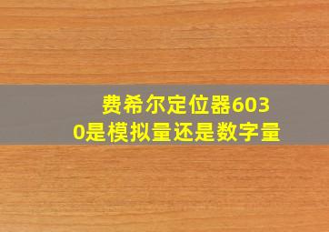 费希尔定位器6030是模拟量还是数字量