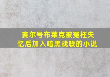 赛尔号布莱克被冤枉失忆后加入暗黑战联的小说