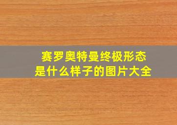 赛罗奥特曼终极形态是什么样子的图片大全