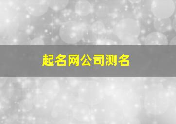 起名网公司测名