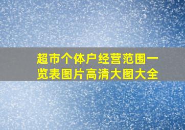 超市个体户经营范围一览表图片高清大图大全