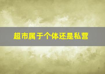 超市属于个体还是私营