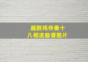 越剧纯伴奏十八相送曲谱图片