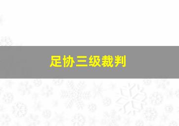 足协三级裁判