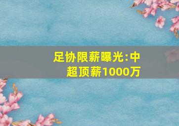 足协限薪曝光:中超顶薪1000万