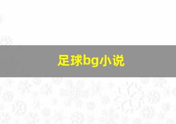 足球bg小说