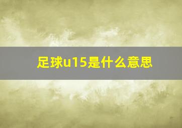 足球u15是什么意思