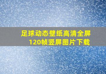 足球动态壁纸高清全屏120帧竖屏图片下载