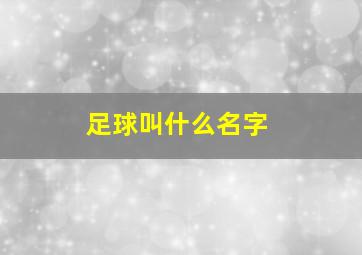 足球叫什么名字