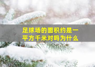 足球场的面积约是一平方千米对吗为什么