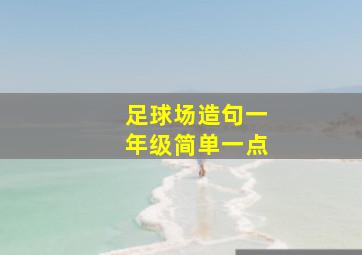 足球场造句一年级简单一点