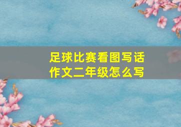 足球比赛看图写话作文二年级怎么写