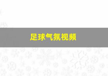 足球气氛视频