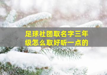 足球社团取名字三年级怎么取好听一点的