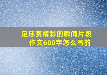 足球赛精彩的瞬间片段作文600字怎么写的