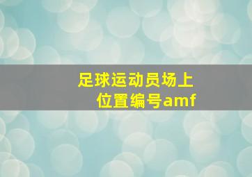 足球运动员场上位置编号amf