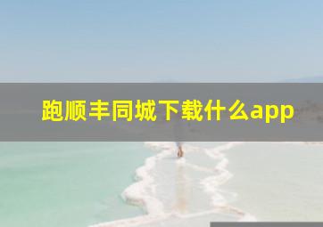 跑顺丰同城下载什么app