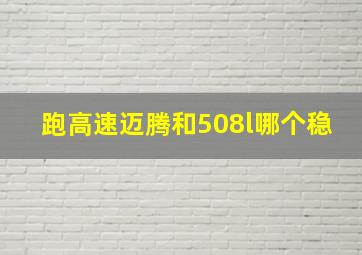 跑高速迈腾和508l哪个稳