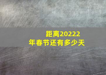 距离20222年春节还有多少天