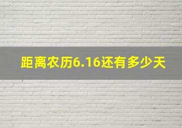 距离农历6.16还有多少天