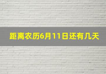 距离农历6月11日还有几天