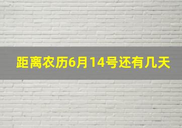 距离农历6月14号还有几天