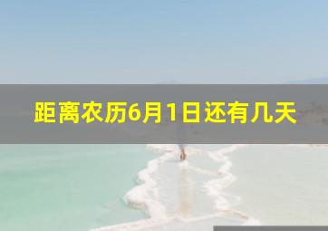 距离农历6月1日还有几天