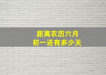 距离农历六月初一还有多少天