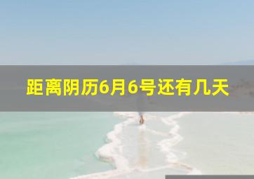 距离阴历6月6号还有几天