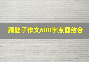 踢毽子作文600字点面结合