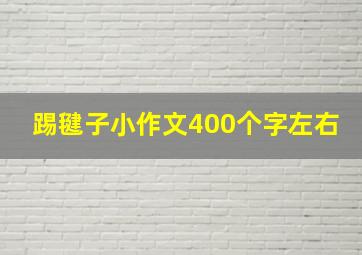 踢毽子小作文400个字左右