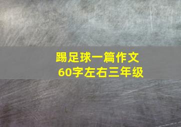 踢足球一篇作文60字左右三年级