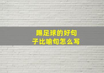 踢足球的好句子比喻句怎么写