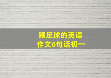 踢足球的英语作文6句话初一