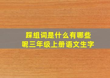 踩组词是什么有哪些呢三年级上册语文生字