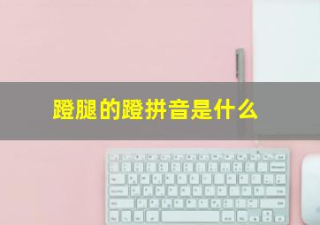 蹬腿的蹬拼音是什么