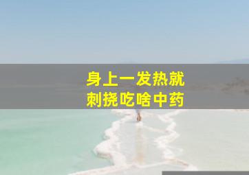 身上一发热就刺挠吃啥中药