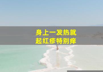 身上一发热就起红疹特别痒