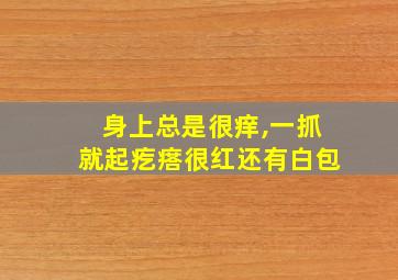 身上总是很痒,一抓就起疙瘩很红还有白包