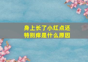 身上长了小红点还特别痒是什么原因