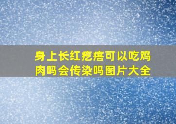 身上长红疙瘩可以吃鸡肉吗会传染吗图片大全